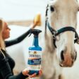 Filename: showsheen-miracle-groom-badduk1.jpg.