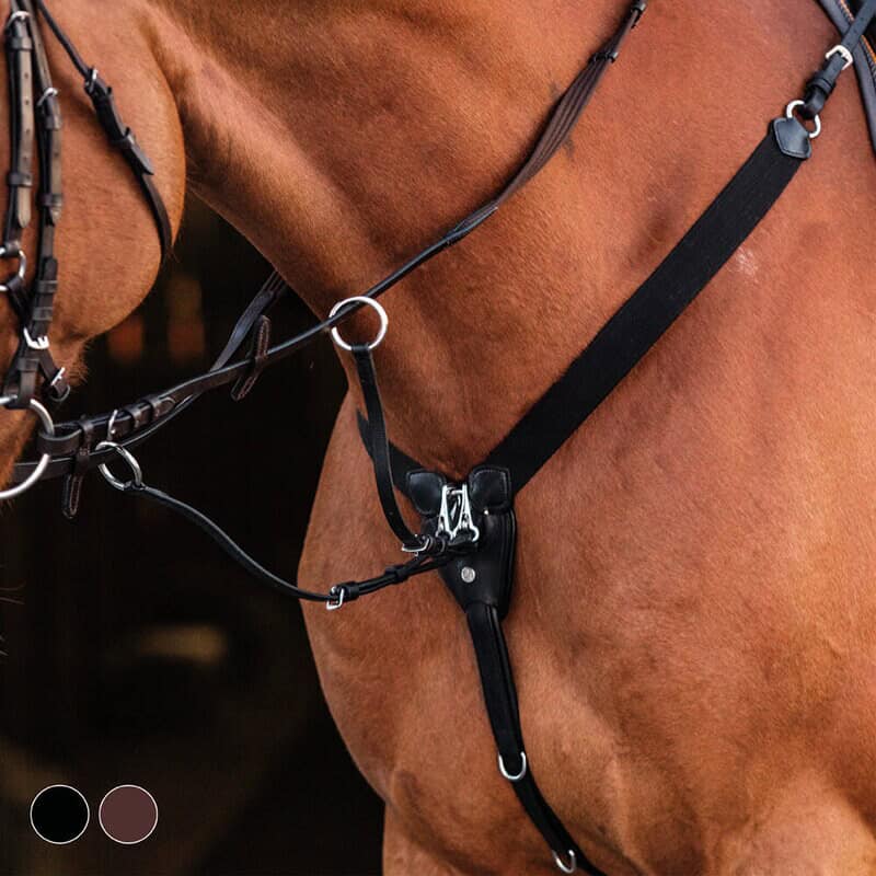 600288-1 Filename: horse-bridle-gear-saebore.jpg.
