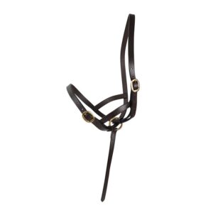 Filename: svart-hundhalsband-detalj.jpg.