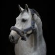 Hästnackremmar HP Horseware skummat tyg svart.