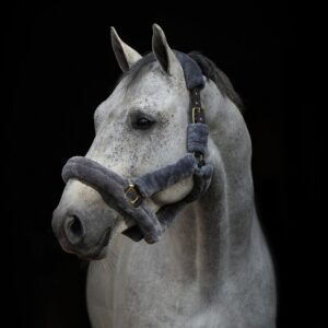 Hästnackremmar HP Horseware skummat tyg svart.