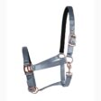 Filename: sjal-forsidsteel-rostfritt-dubbel-ring-slitsar-brojobb-korsett-horse-riding-harness.jpg.