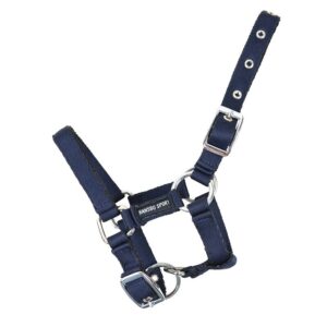 Hansbro Sport hundhalsband.