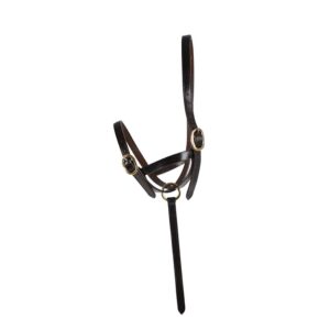 FileName: horse-harness-Appleby.jpg.