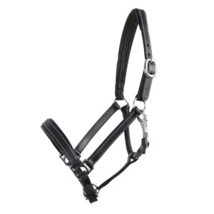 Filename: horse-harness-efx-bridle.jpg.