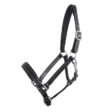 Filename: horse-harness-schockemoehle-elite-black.jpg.