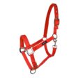 Reflex hundhalsband med metallringar och justerbar rem.