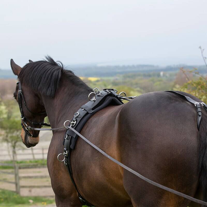 71990000-1 Filnamn: horse-gear-horse-riding-gear.jpg.