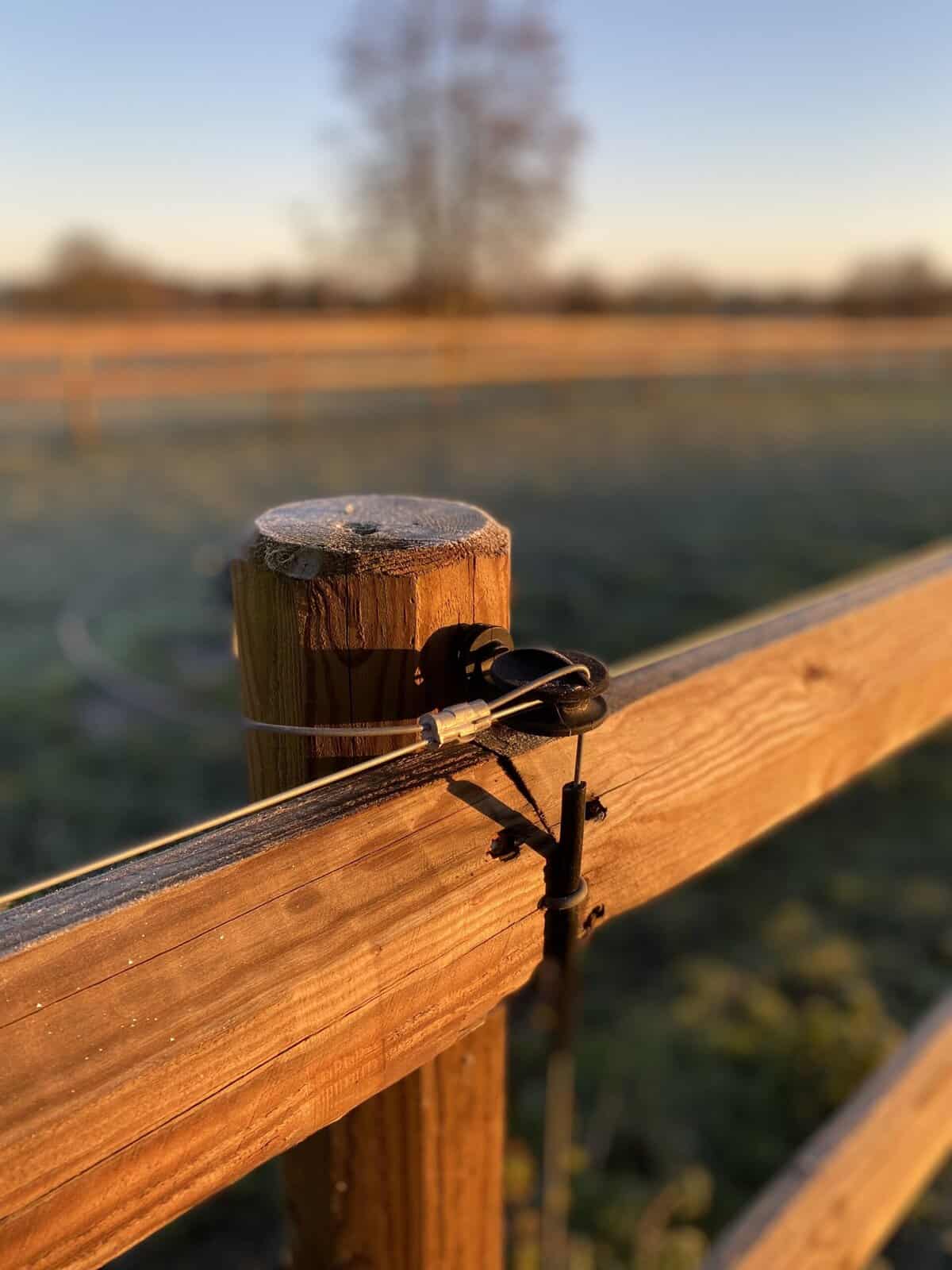 2. Tråd, trädgårdsända av metall på trästaket med solnedgång i bakgrunden. Enkel inställning för trädgårds- eller staketarrangemang.