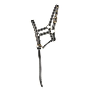Halsband för häst med justerbara remmar, guldfärgad spänne och metallringar, tillverkad av slitstarkt material.