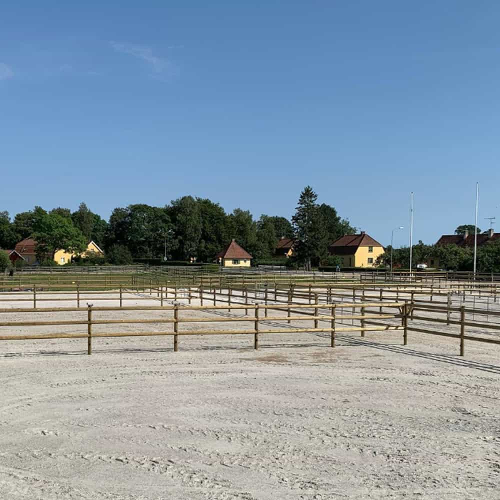 Häststängsel i ridhusmiljö för hästskydd och träning.