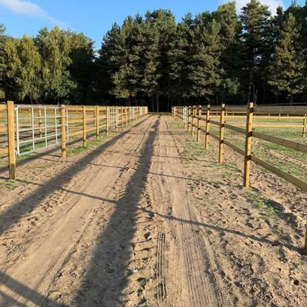 Häststängsel i trä längs grusväg i skogsmiljö för hästskydd.